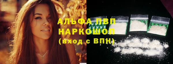 дживик Богородицк