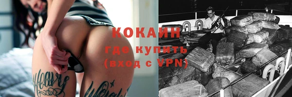 дживик Богородицк
