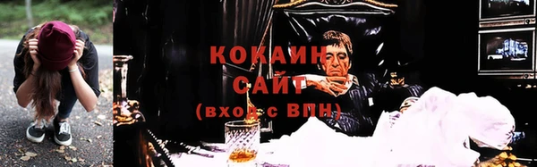 дживик Богородицк