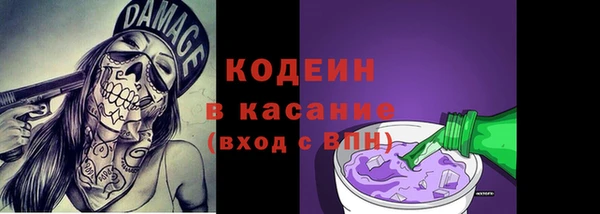дживик Богородицк