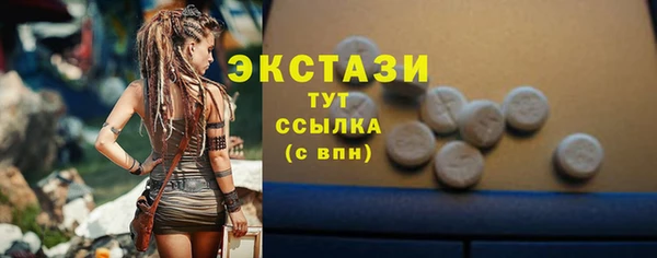 дживик Богородицк