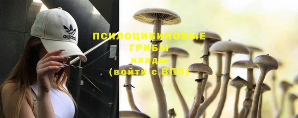 дживик Богородицк