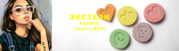 дживик Богородицк