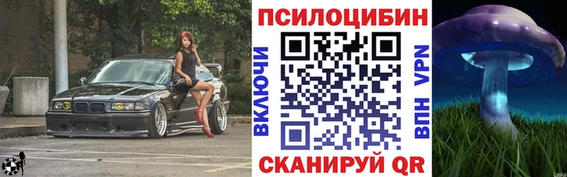 Псилоцибиновые грибы MAGIC MUSHROOMS  MEGA как зайти  это официальный сайт  Бодайбо 